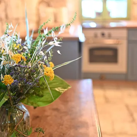 Casa Miro شقة بوزت