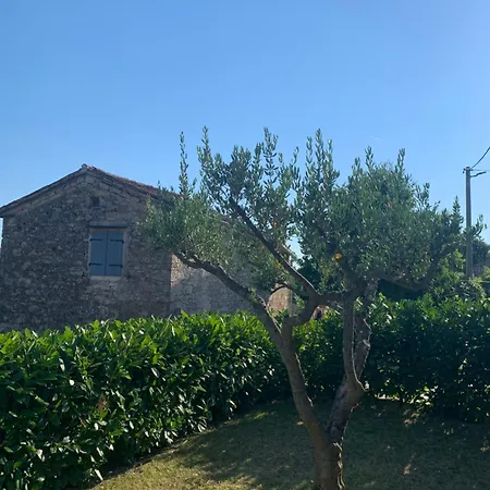 Casa Miro